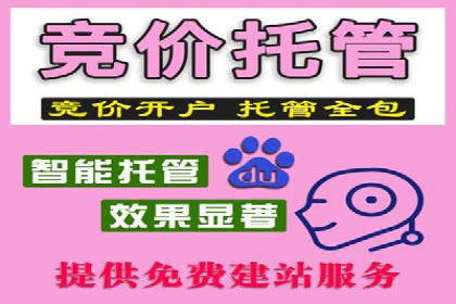 百度广告竞价与SEO结合的案例：某企业双管齐下的营销策略